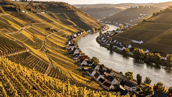 Moselle valley wine region on Luxembourg-Germany border - cross-border dating culture in Luxembourg